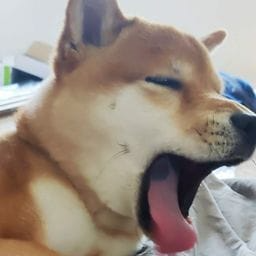 kevin_emoji1